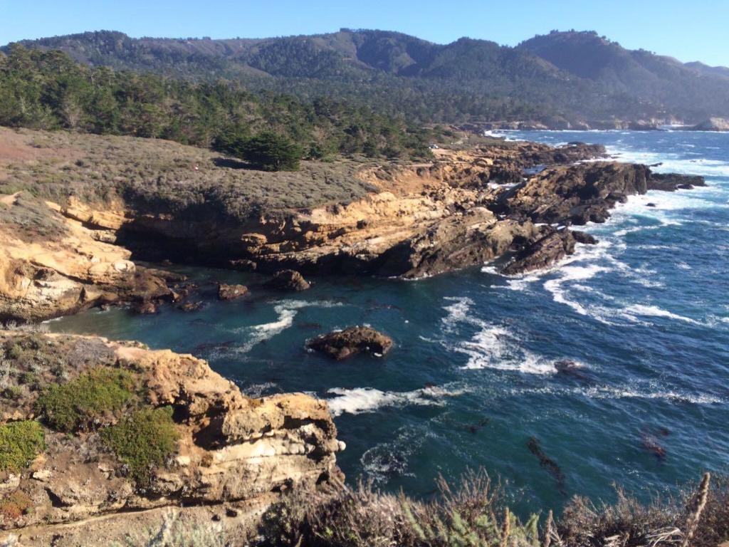 MLS #ML82028356 image #10