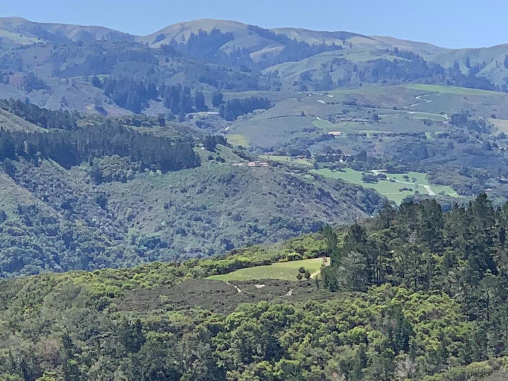 MLS #ML82028356 image #2