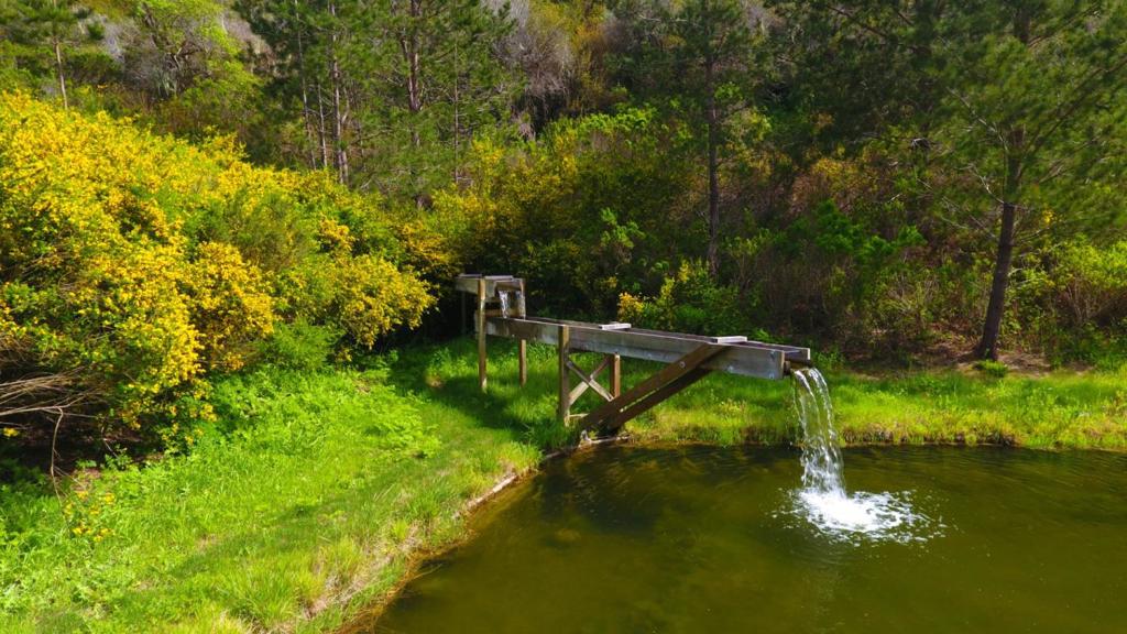 MLS #ML82028356 image #9