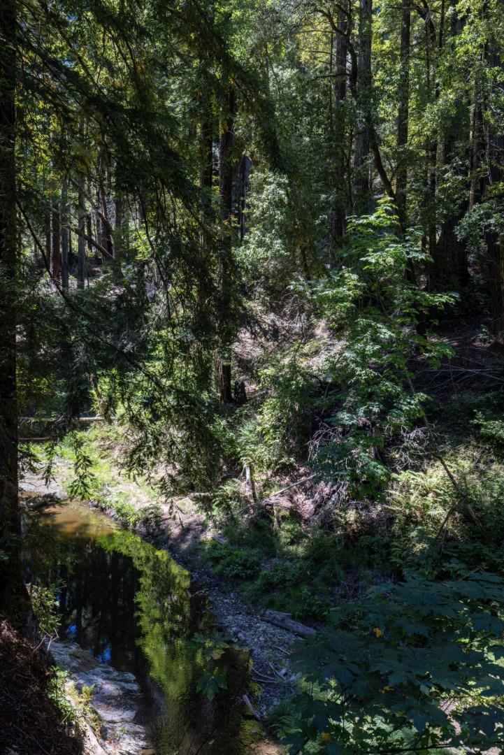 MLS #ML82028358 image #23