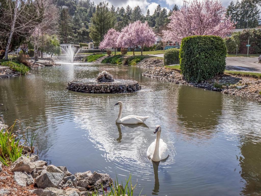 MLS #ML82028372 image #42