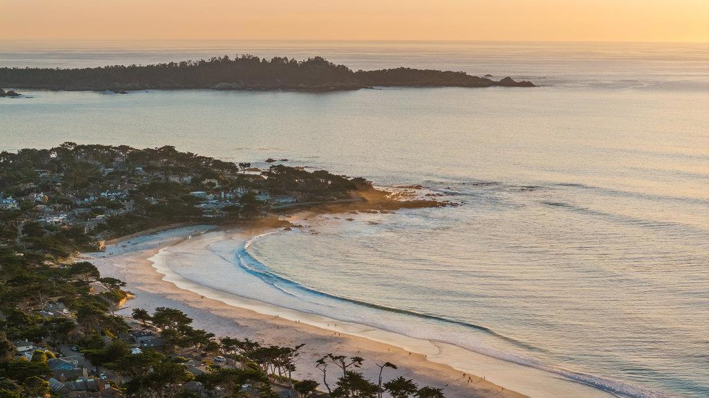 MLS #ML82028428 image #66