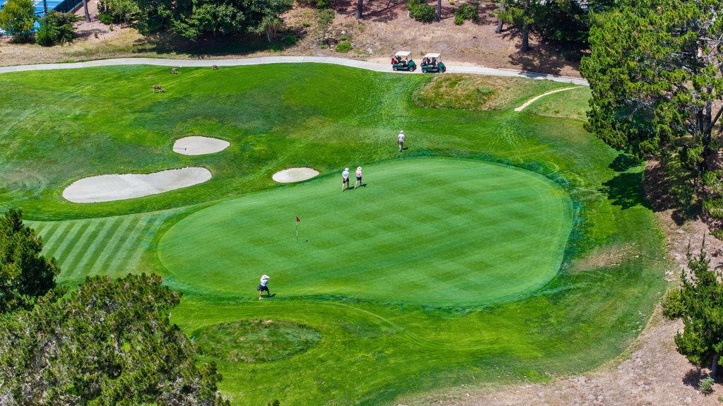 MLS #ML82028428 image #68