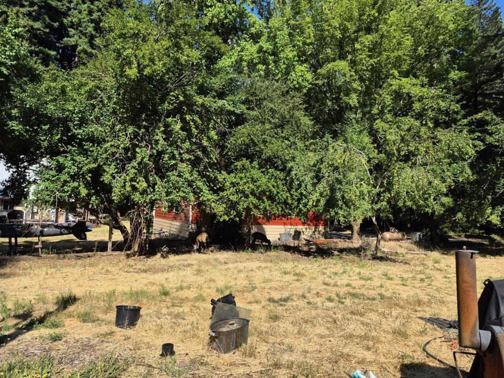 MLS #ML82028432 image #63