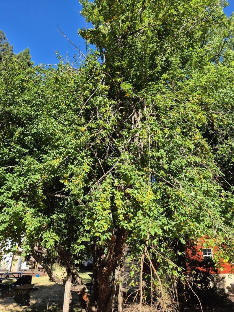 MLS #ML82028432 image #64