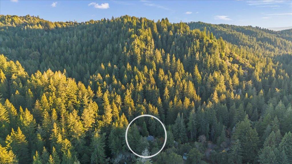 MLS #ML82028529 image #43