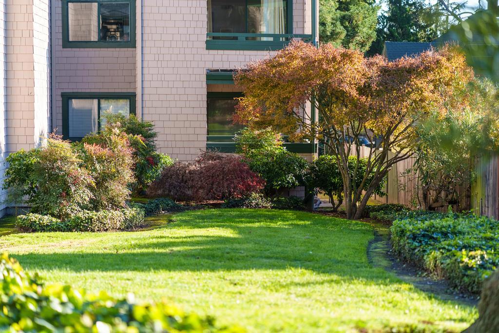 MLS #ML82028594 image #32