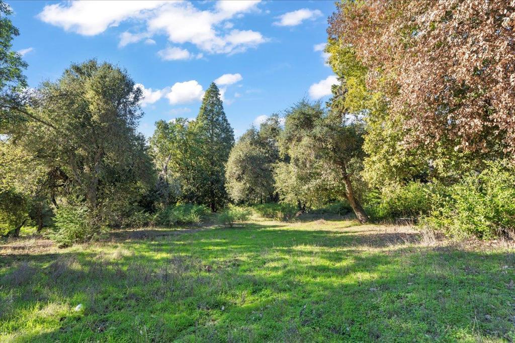 MLS #ML82028605 image #10