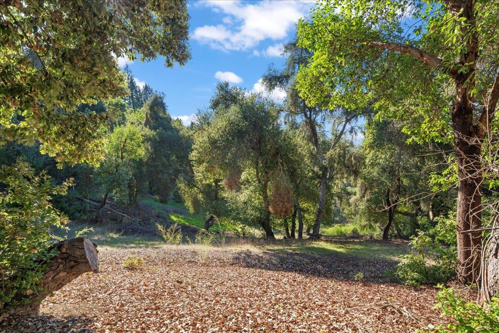 MLS #ML82028605 image #11