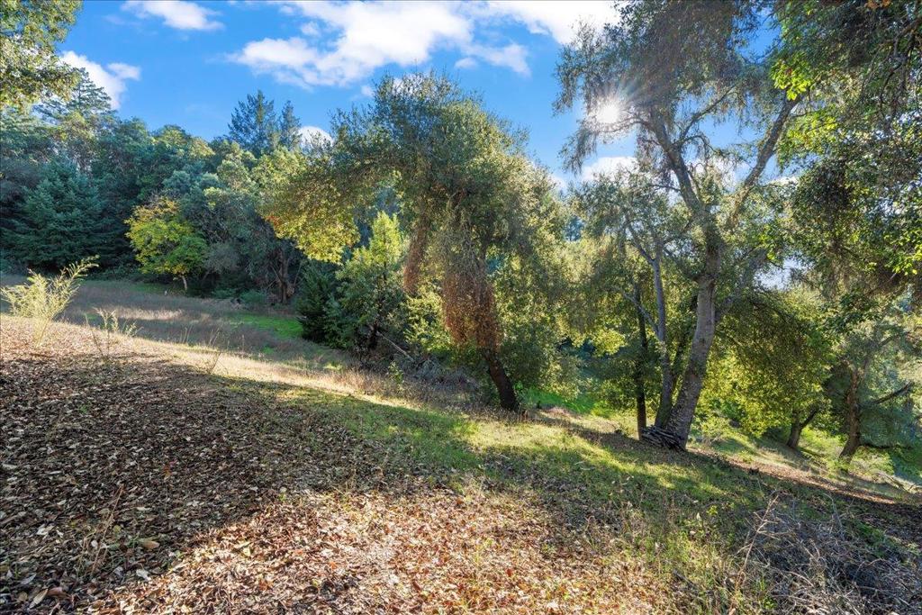 MLS #ML82028605 image #13