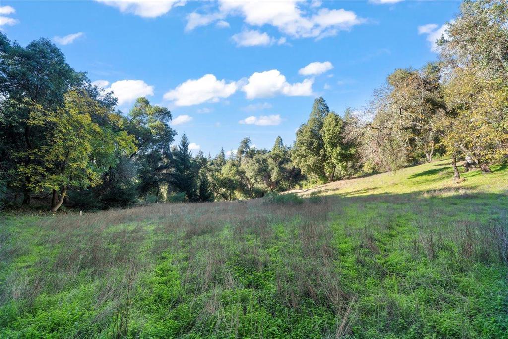 MLS #ML82028605 image #7