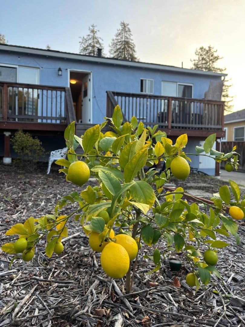 MLS #ML82028626 image #9