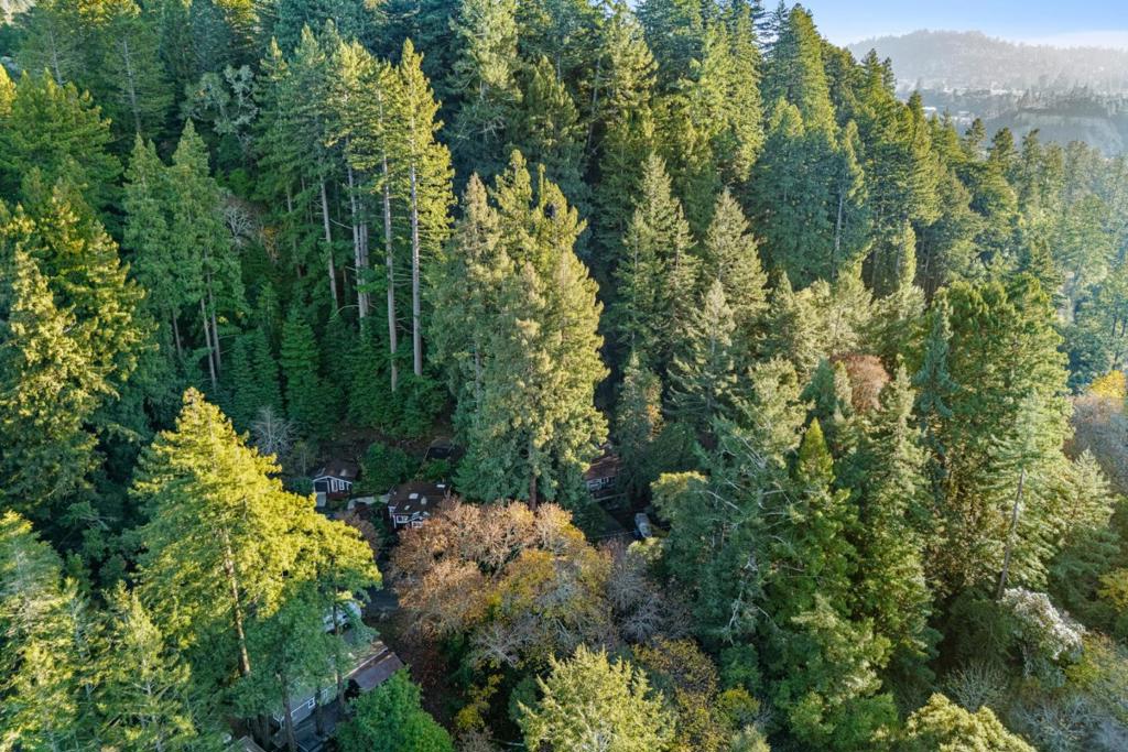 MLS #ML82028673 image #38