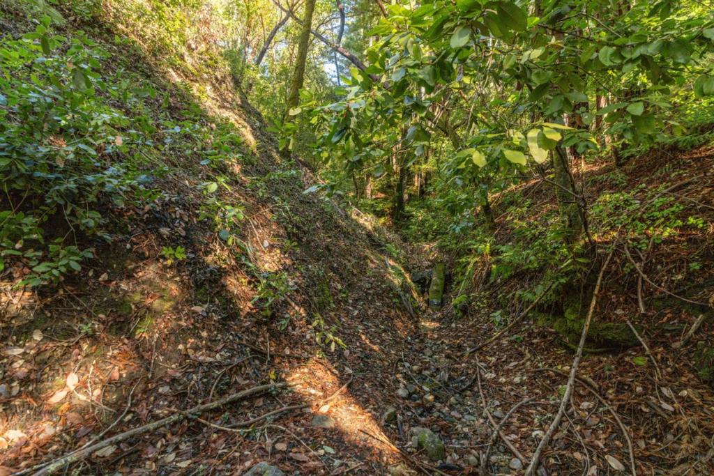 MLS #ML82028714 image #2