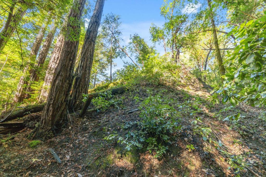 MLS #ML82028714 image #4