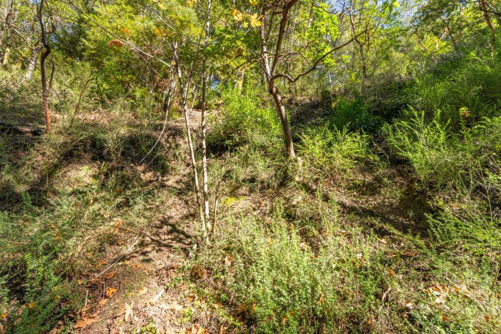 MLS #ML82028714 image #5