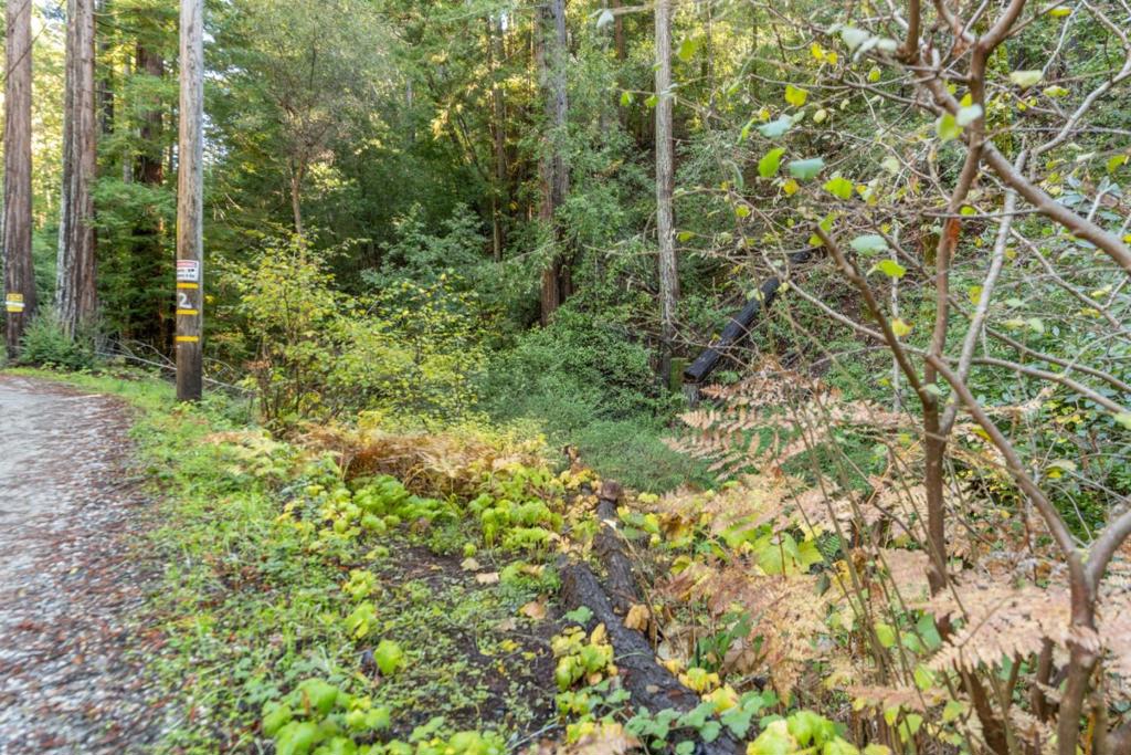 MLS #ML82028715 image #0