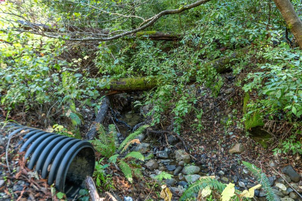 MLS #ML82028715 image #1