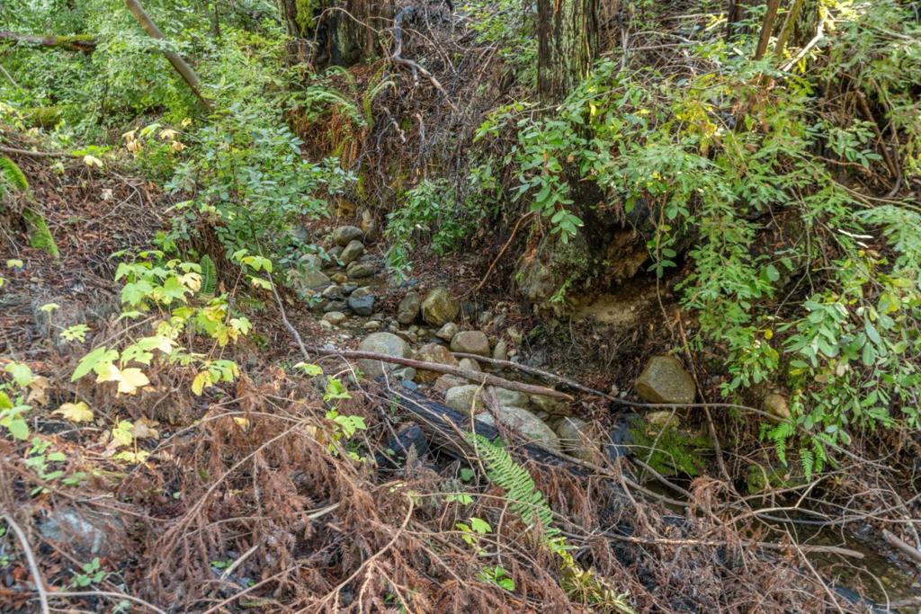 MLS #ML82028715 image #2