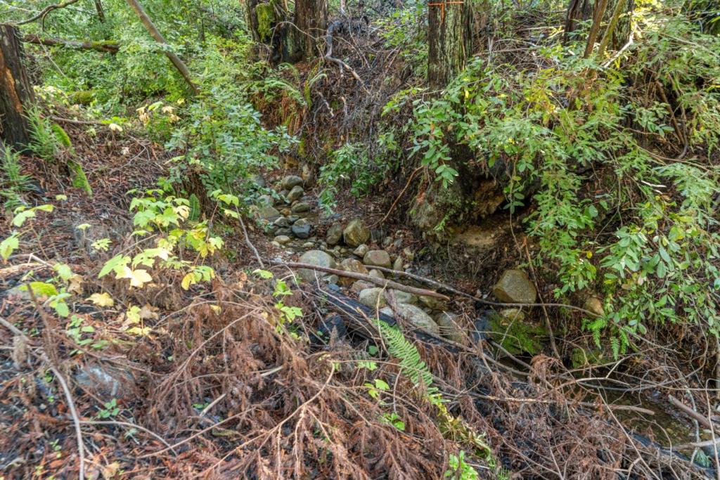 MLS #ML82028715 image #3