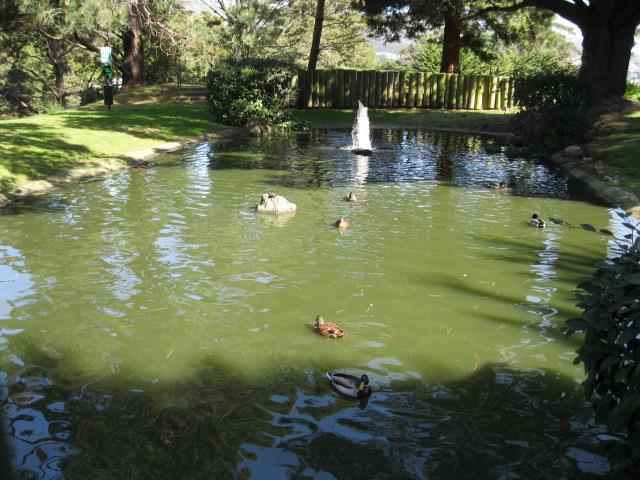 MLS #ML82028804 image #25