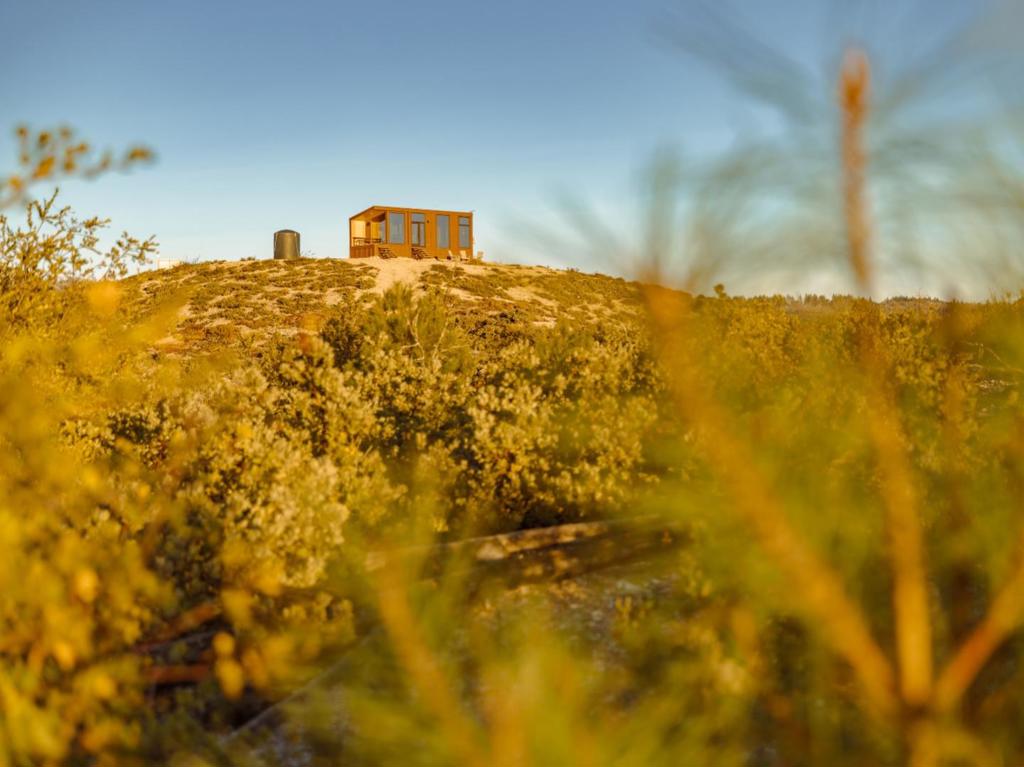 MLS #ML82028818 image #21