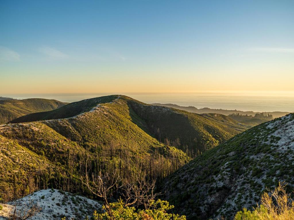 MLS #ML82028818 image #23