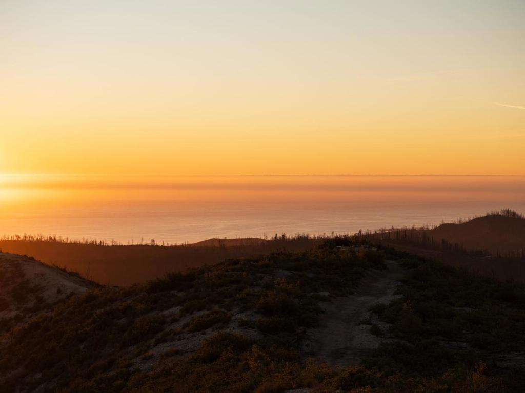 MLS #ML82028818 image #29