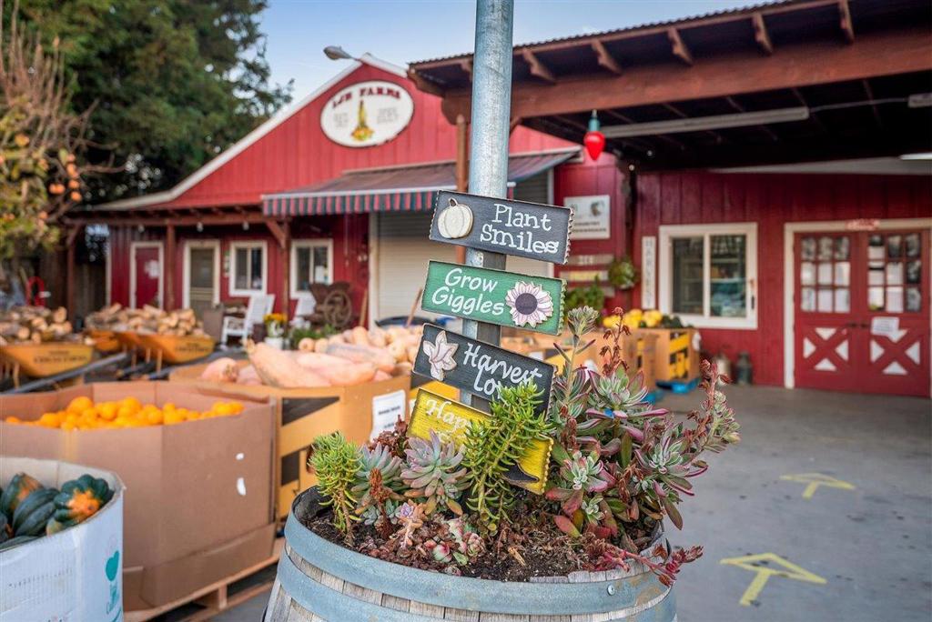 MLS #ML82028124 image #22