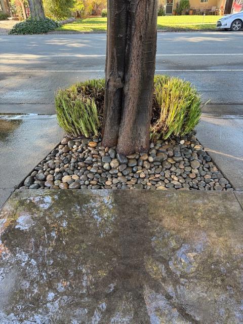 MLS #ML82028124 image #9