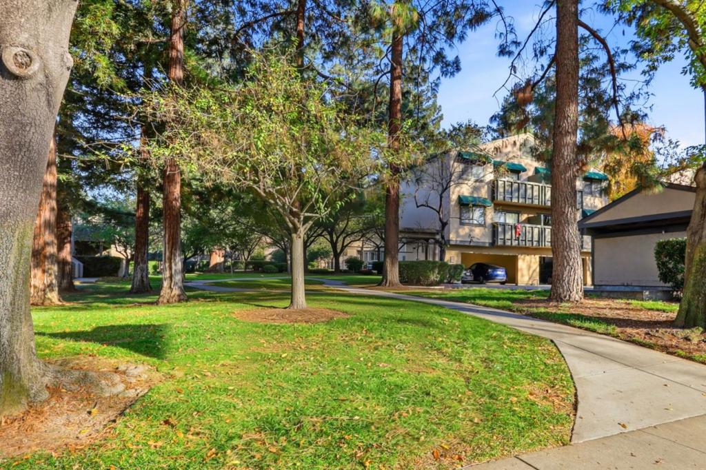 MLS #ML82028978 image #26