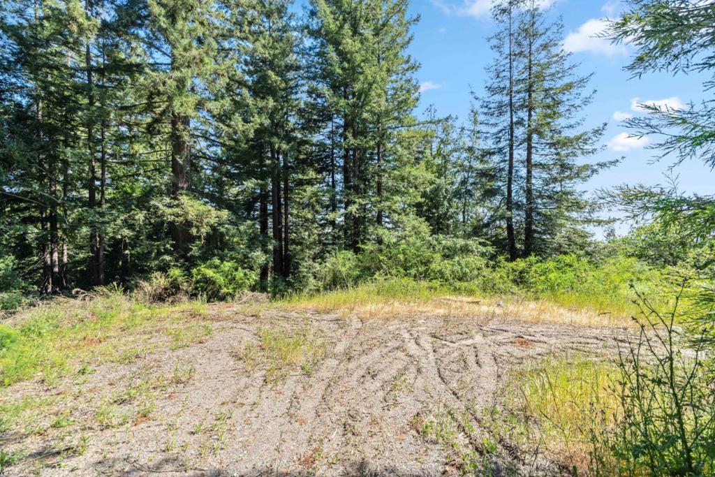 MLS #ML82029017 image #7