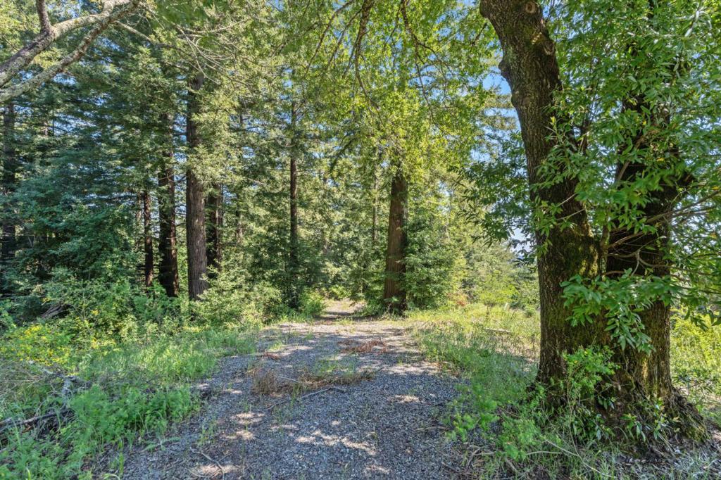 MLS #ML82029017 image #9