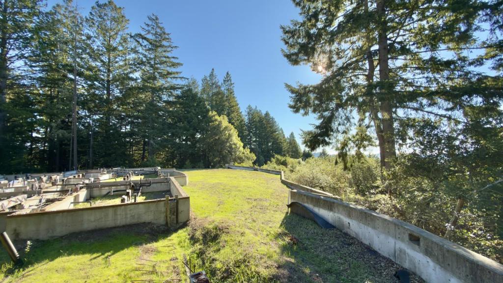 MLS #ML82029027 image #13