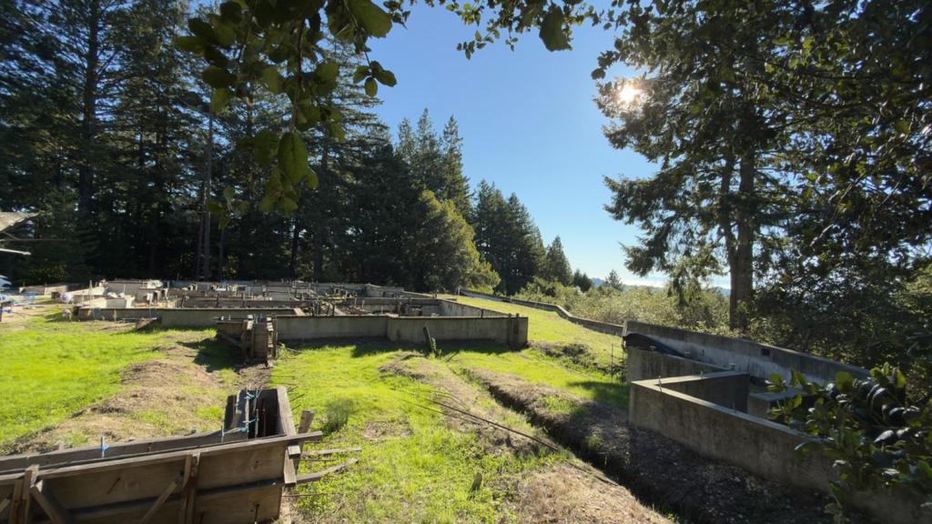 MLS #ML82029027 image #15