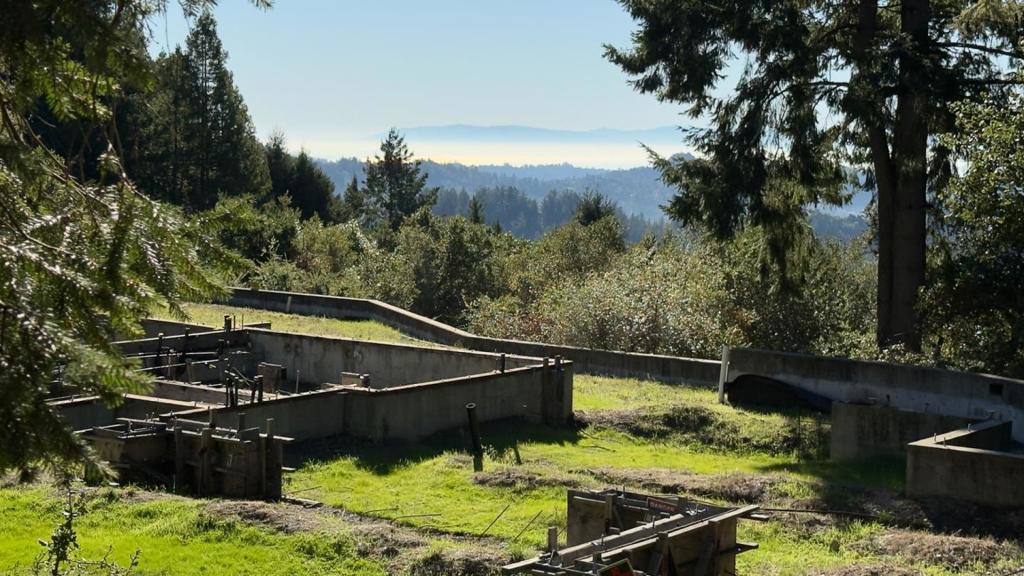 MLS #ML82029027 image #7