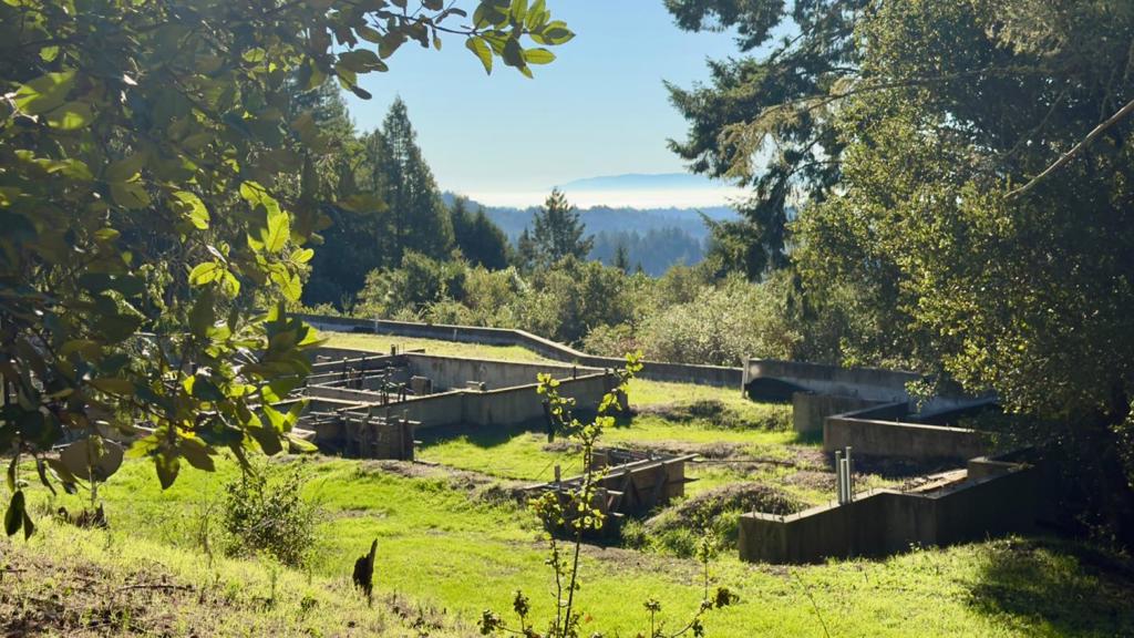 MLS #ML82029027 image #8