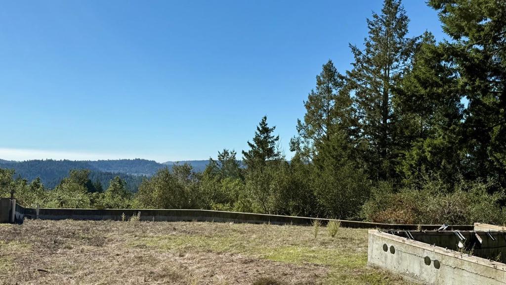 MLS #ML82029027 image #9