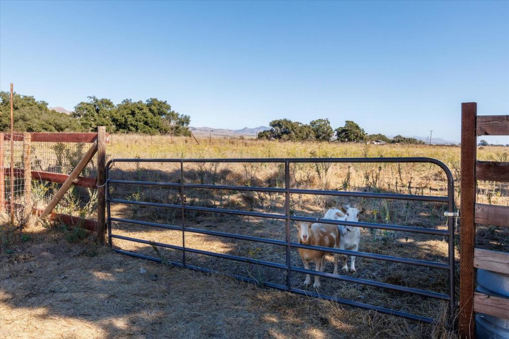 MLS #ML82029030 image #10