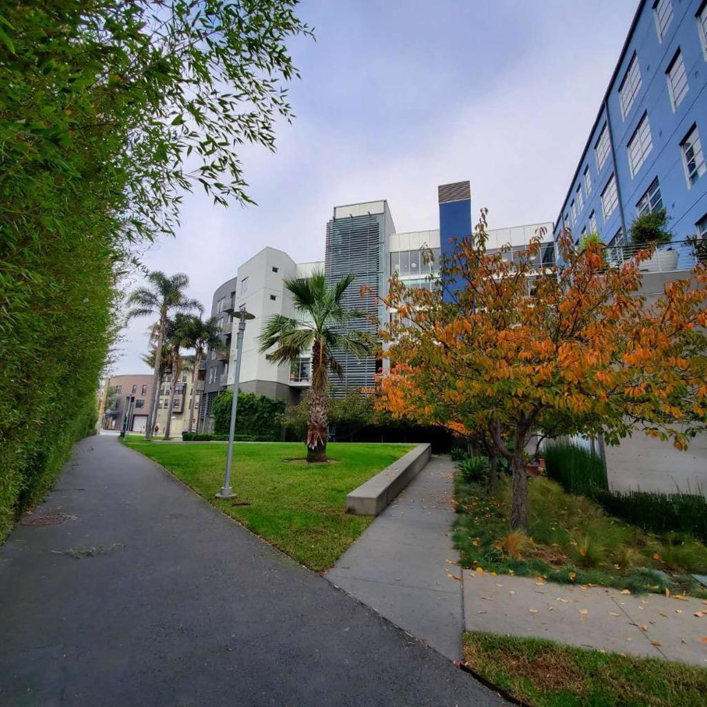 MLS #ML82029089 image #26