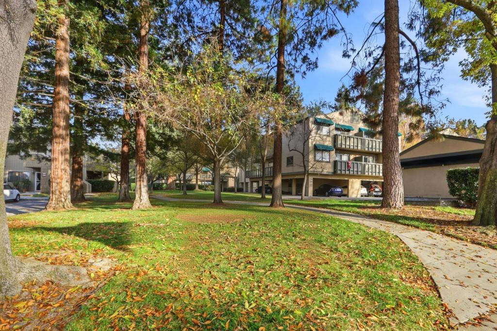 MLS #ML82029151 image #23