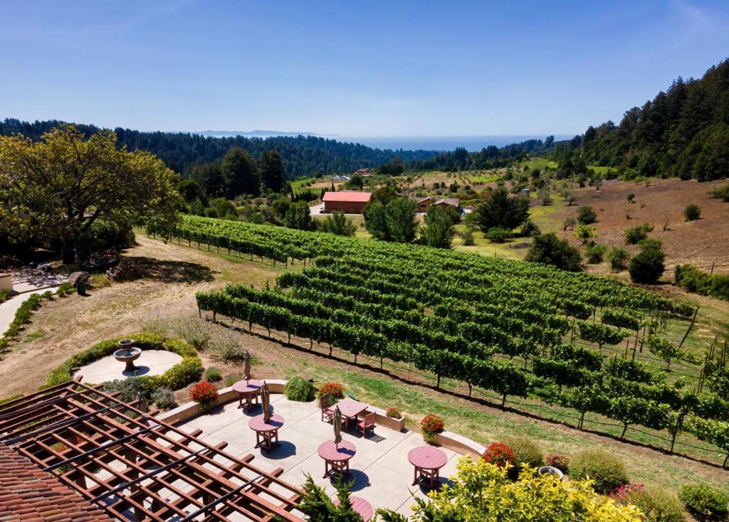 MLS #ML82028774 image #28