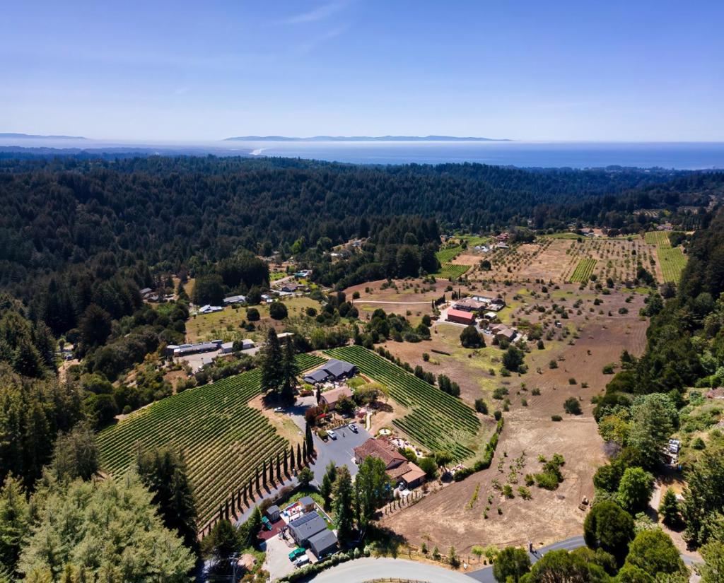 MLS #ML82028774 image #30