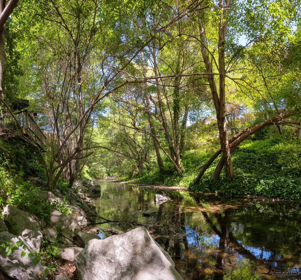 MLS #ML82028774 image #31