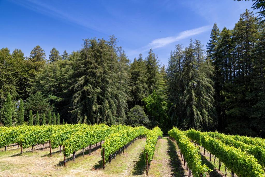 MLS #ML82028774 image #32