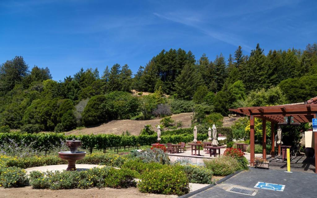 MLS #ML82028774 image #34