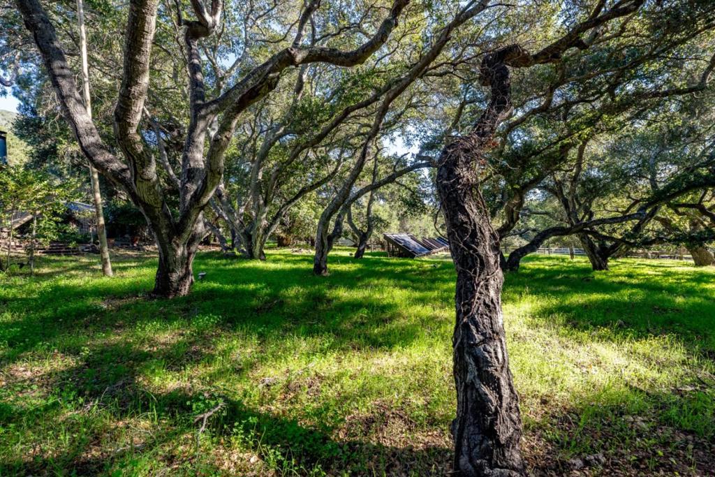 MLS #ML82029278 image #1