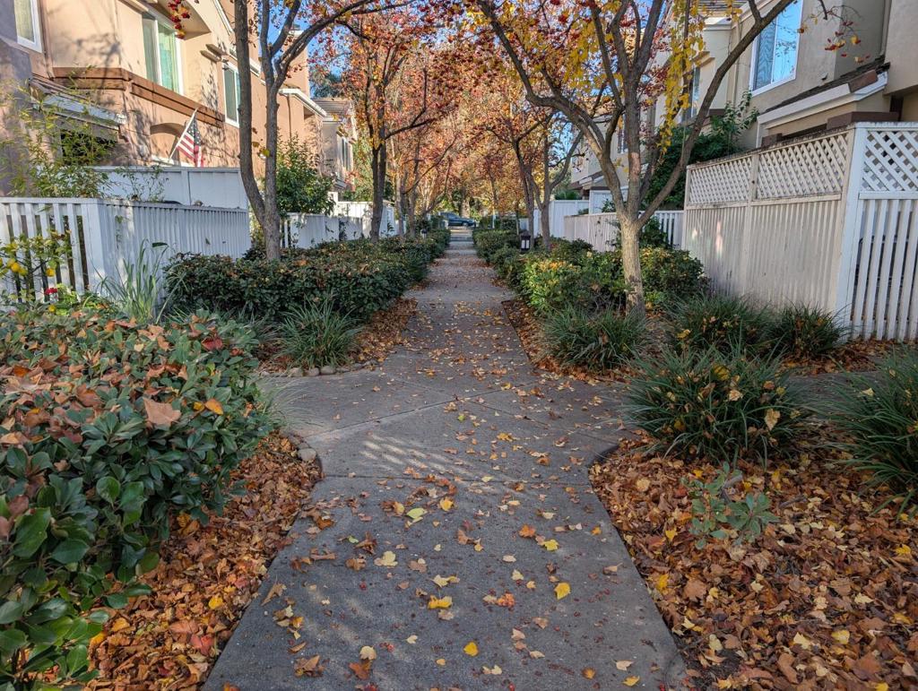 MLS #ML82029340 image #14