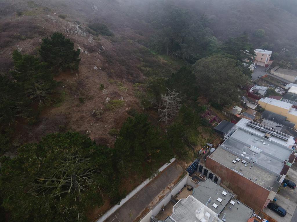 MLS #ML82029356 image #6