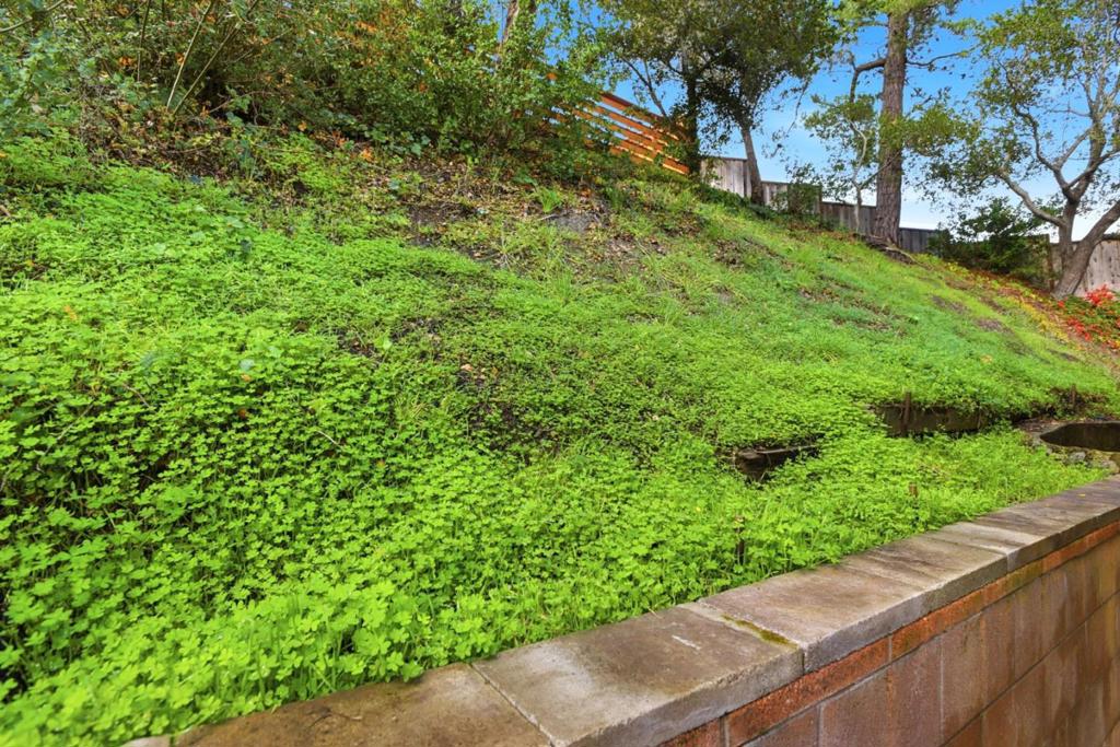 MLS #ML82029664 image #42